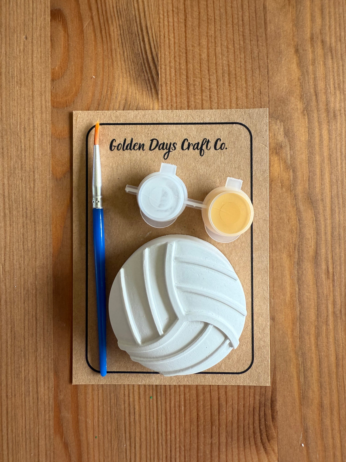 Mini Game Day Paint Kit - Volleyball